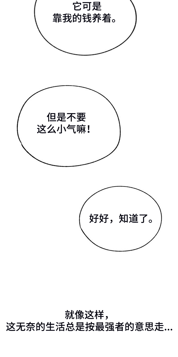 乡野旋律漫画,第154章：【第二季】最强者1图