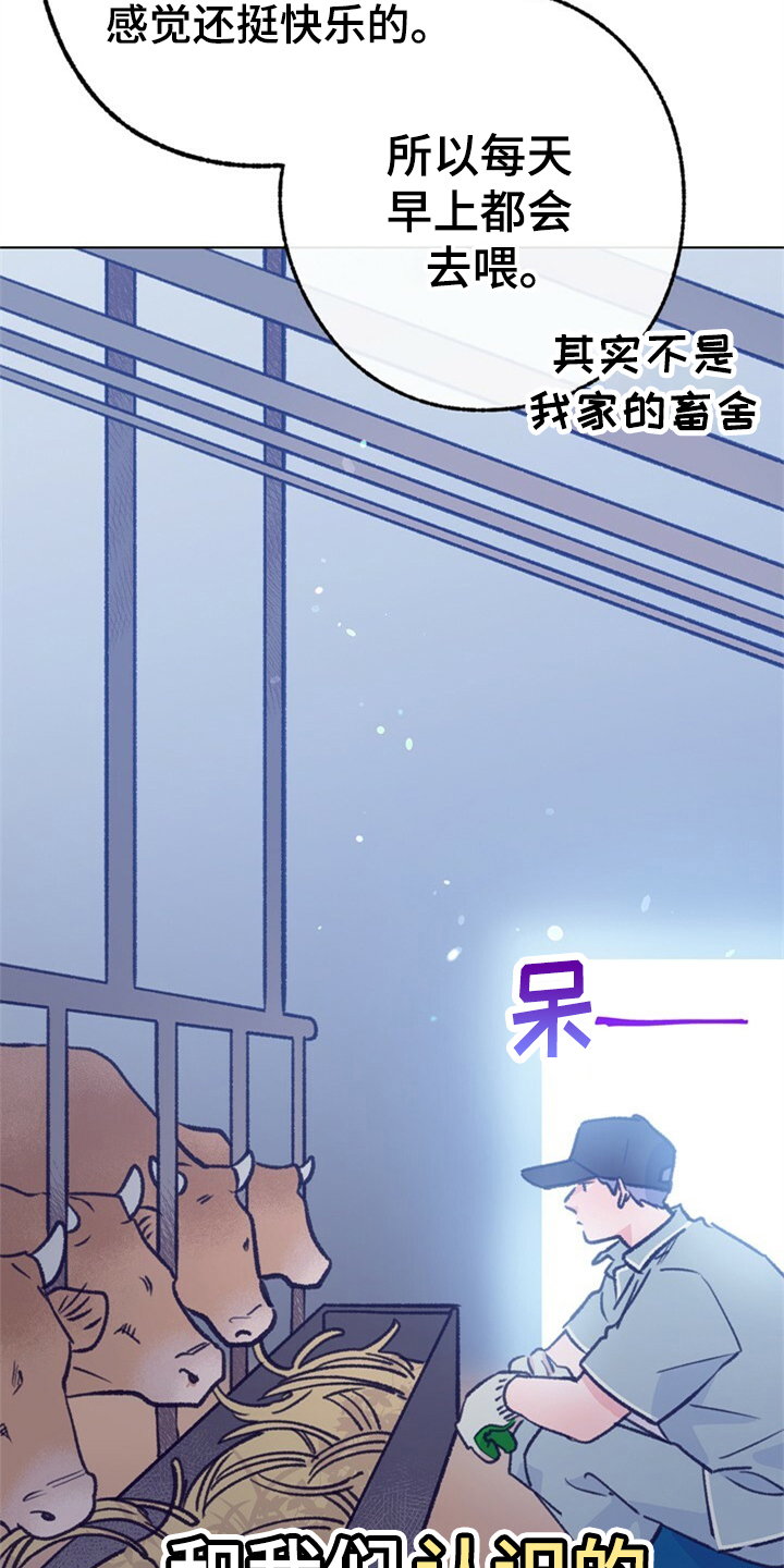 乡野旋律漫画,第155章：【第二季】日常综艺1图