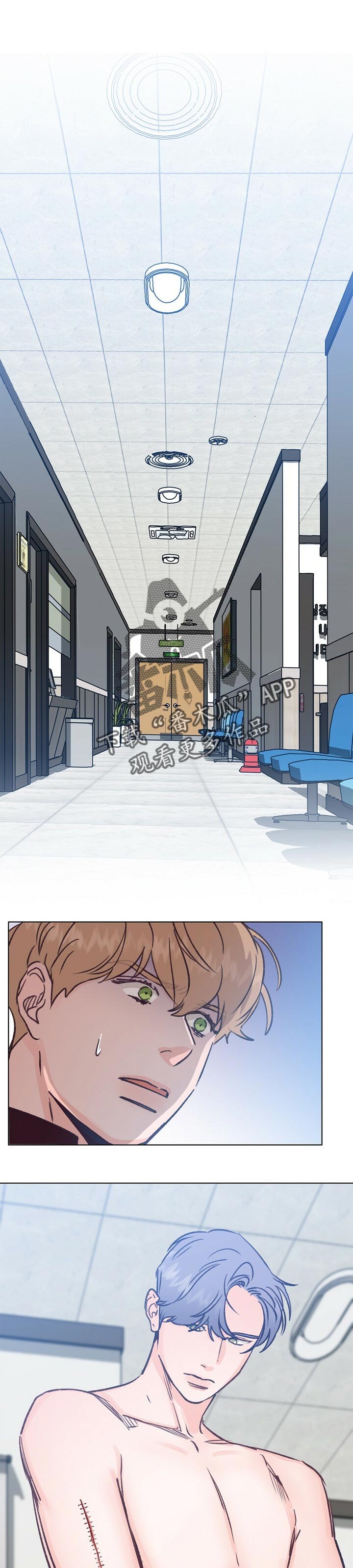 乡野旋律漫画,第54章：好好聊聊1图