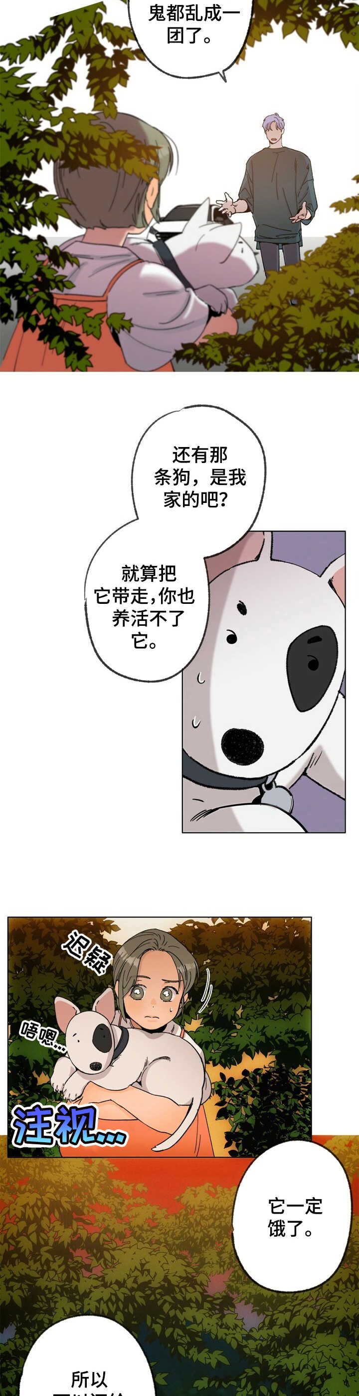 乡野旋律漫画,第23章：逃跑5图