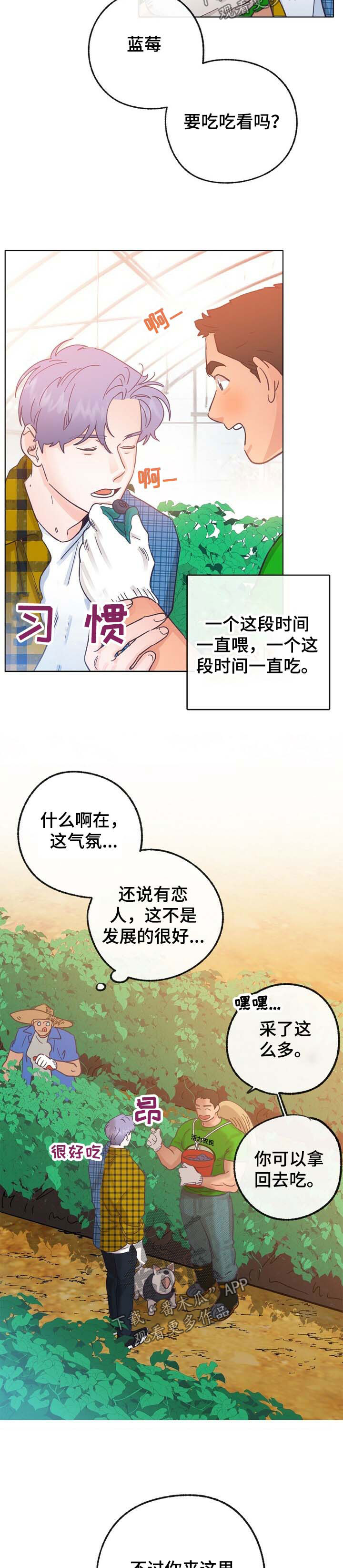 乡野旋律漫画,第42章：来人2图