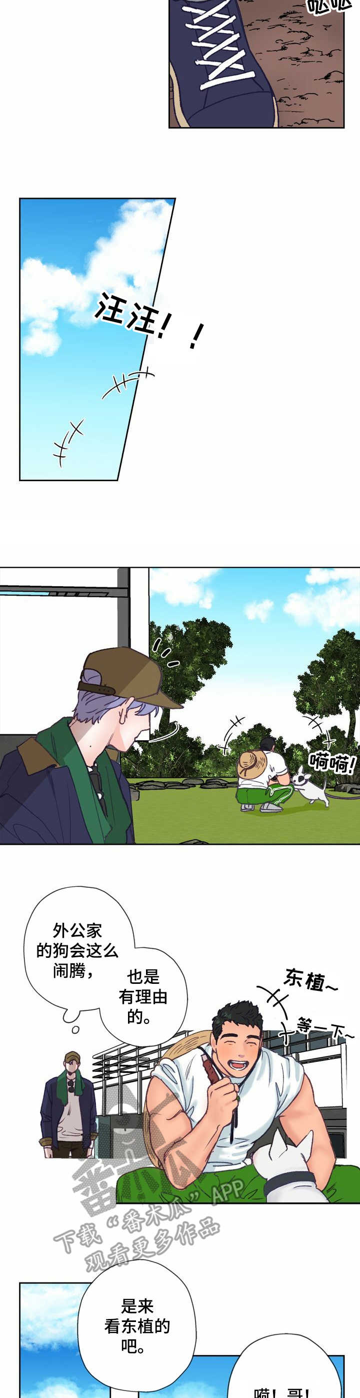 乡野旋律漫画,第8章：除草5图