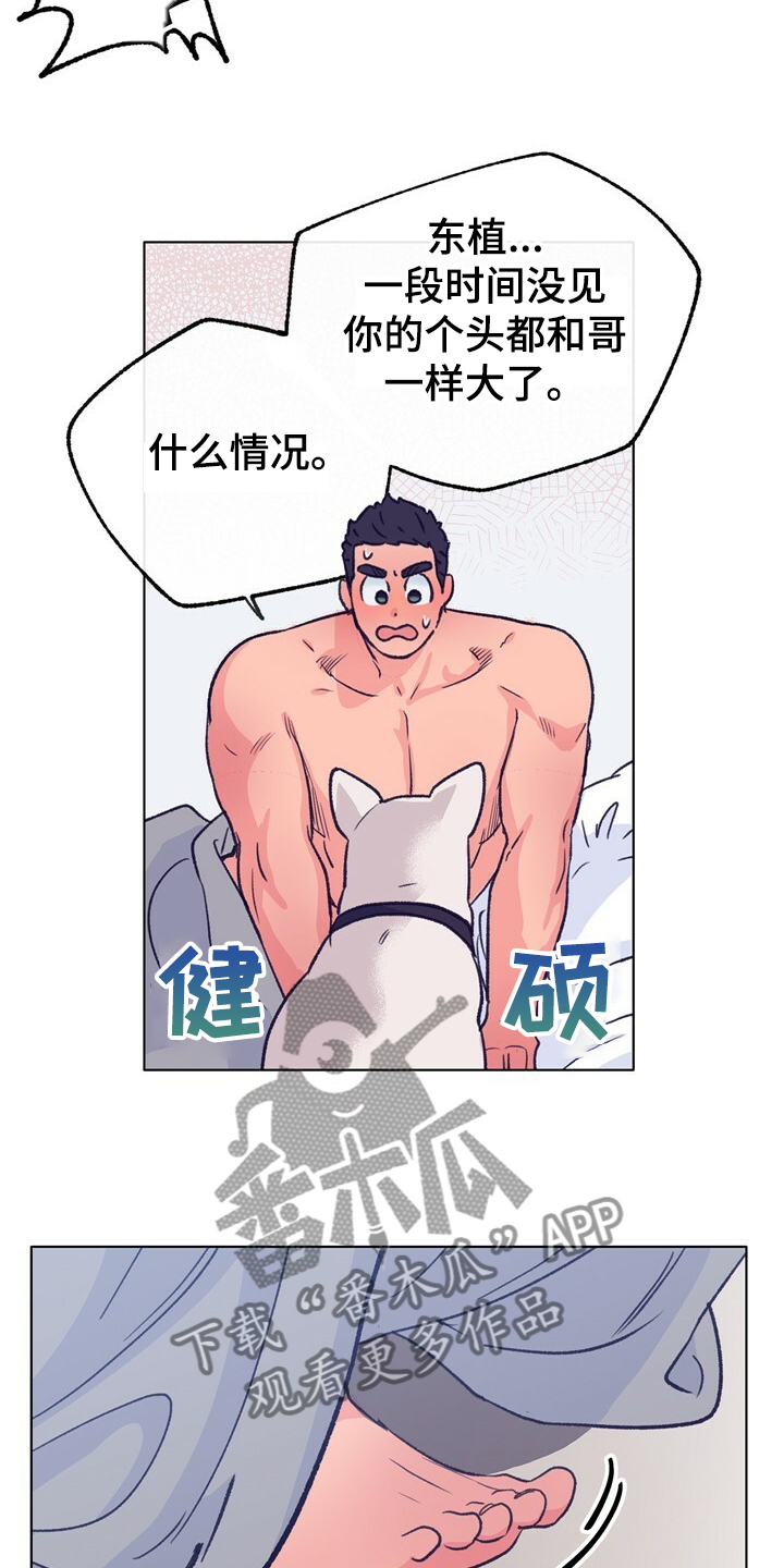 乡野旋律漫画,第127章：【第二季】硕大的东植5图