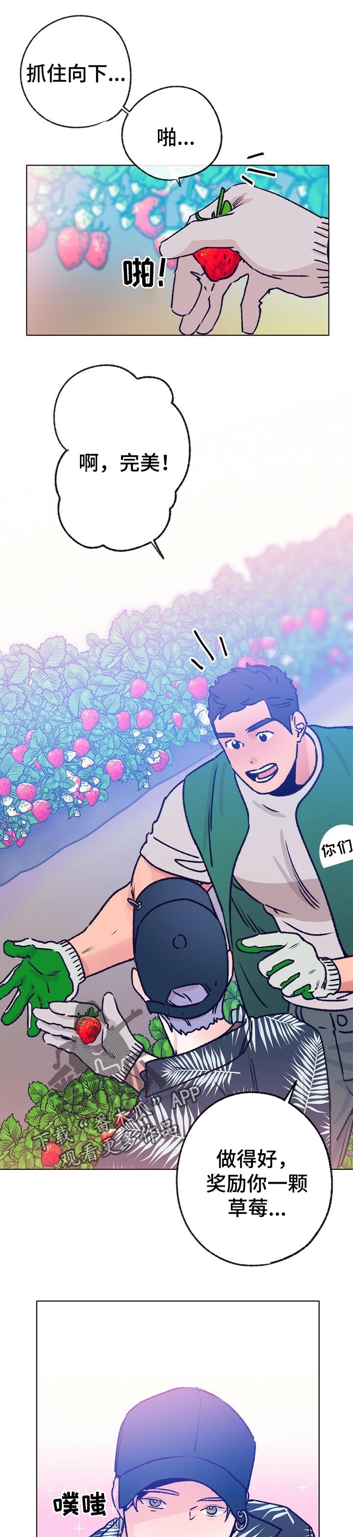 乡野旋律漫画,第64章：摘草莓2图