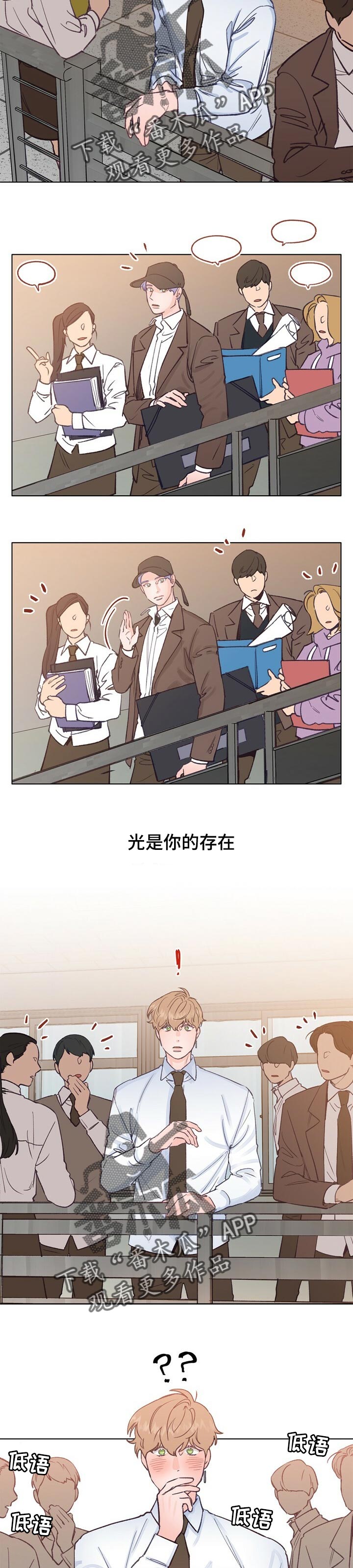 乡野旋律漫画,第49章：真实身份1图