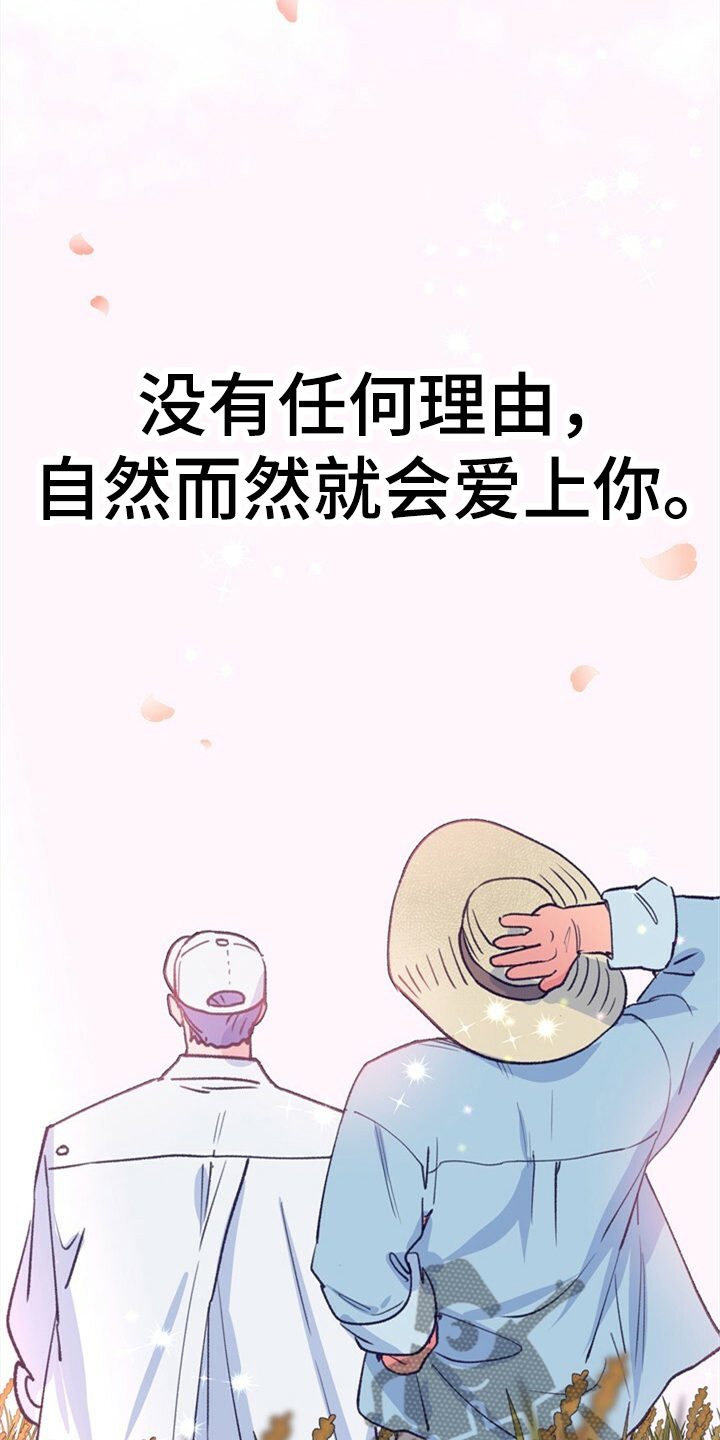 乡野旋律漫画,第158章：【第二季完结】爱你没有理由2图
