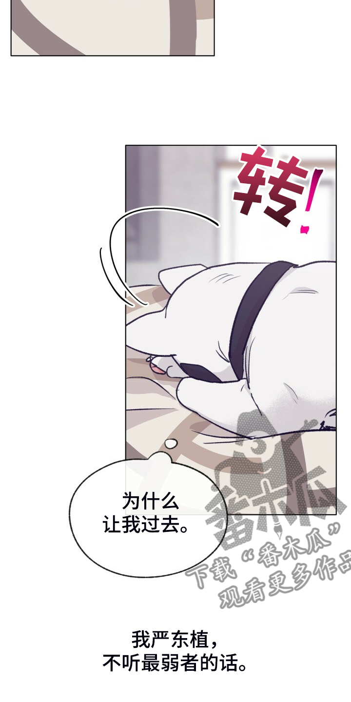 乡野旋律漫画,第154章：【第二季】最强者5图