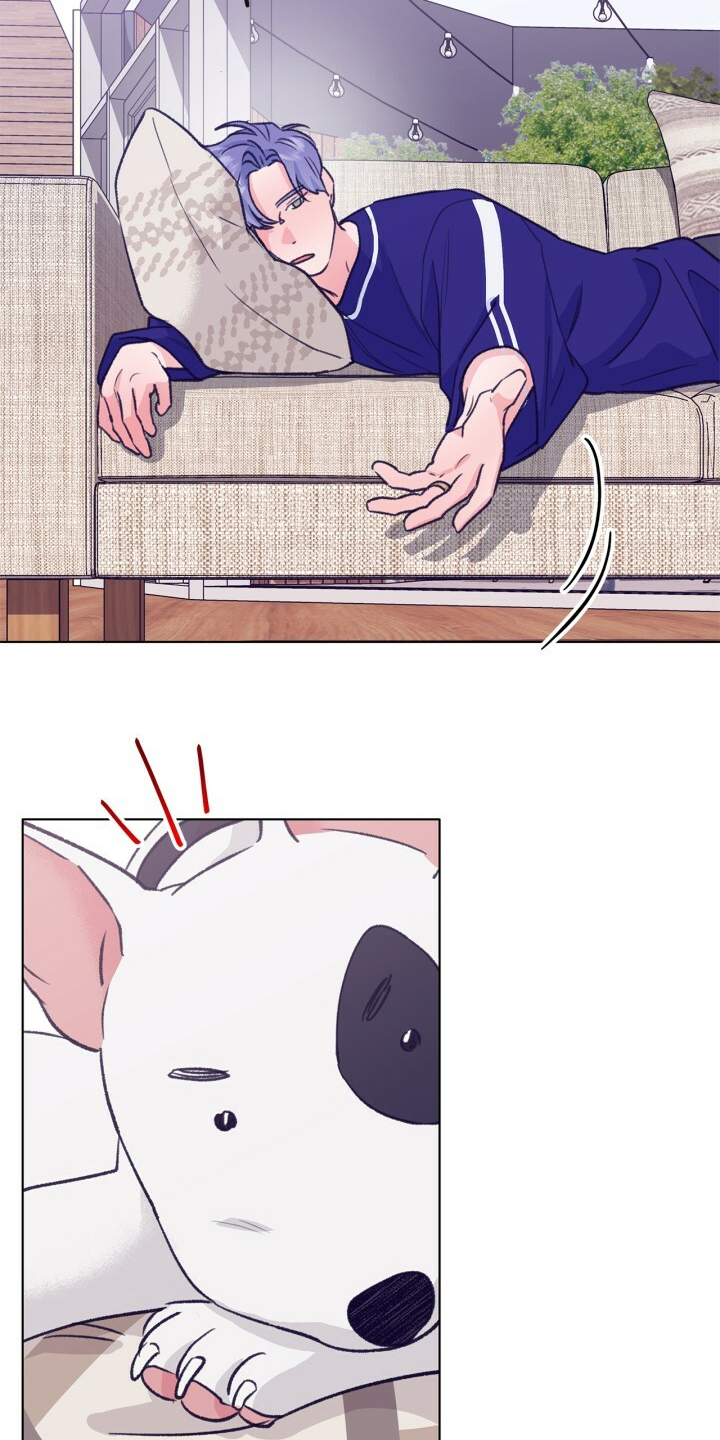 乡野旋律漫画,第154章：【第二季】最强者4图