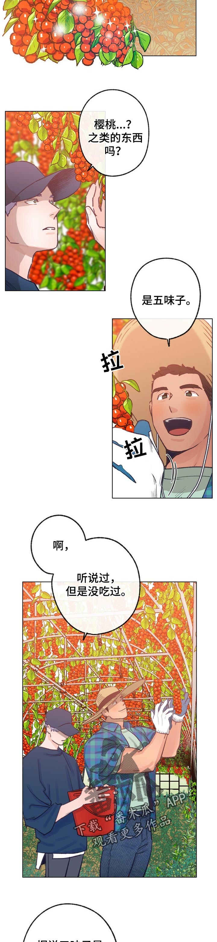 乡野旋律漫画,第61章：散步4图
