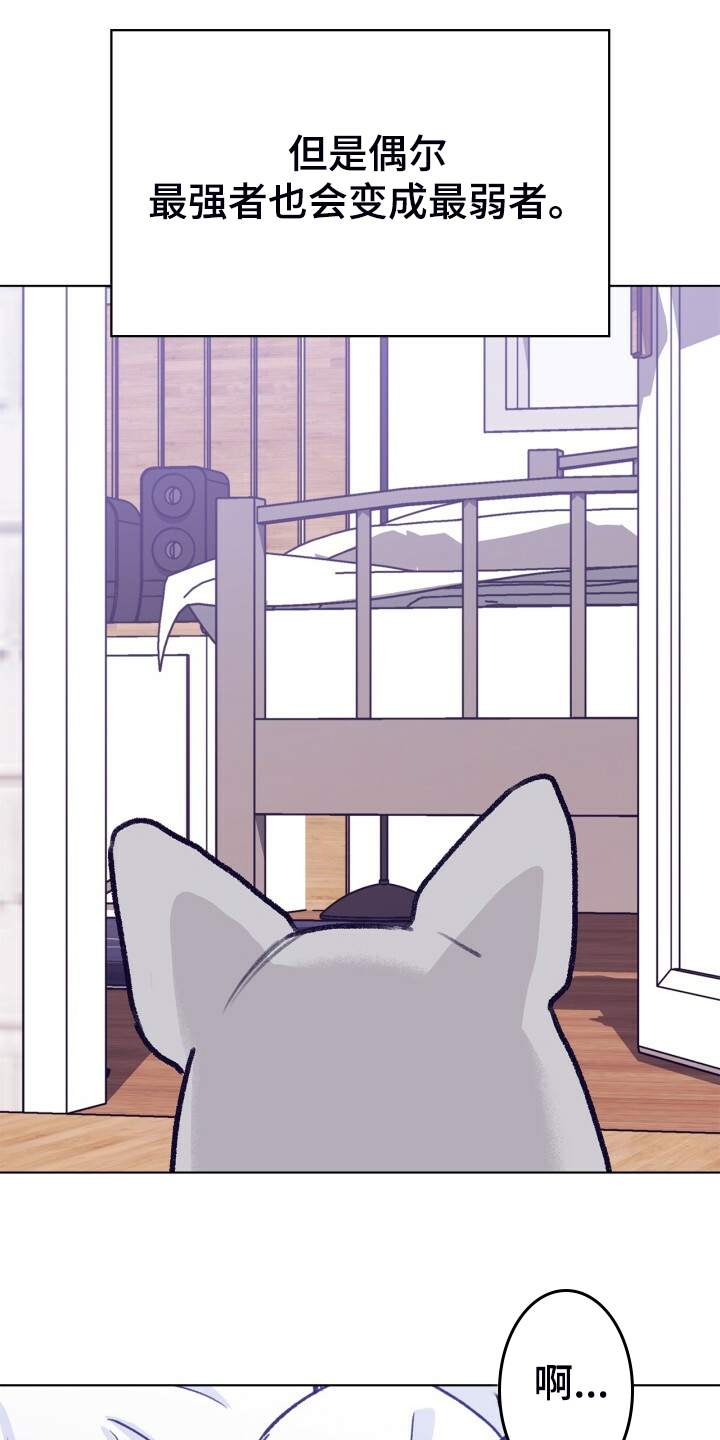乡野旋律漫画,第154章：【第二季】最强者2图