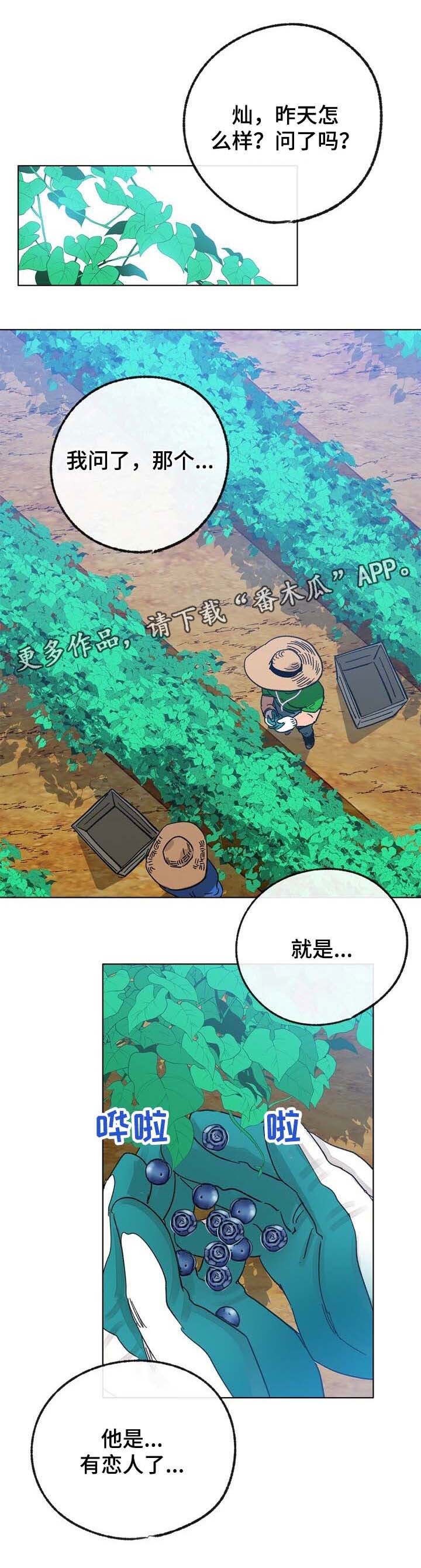 乡野旋律漫画,第42章：来人1图