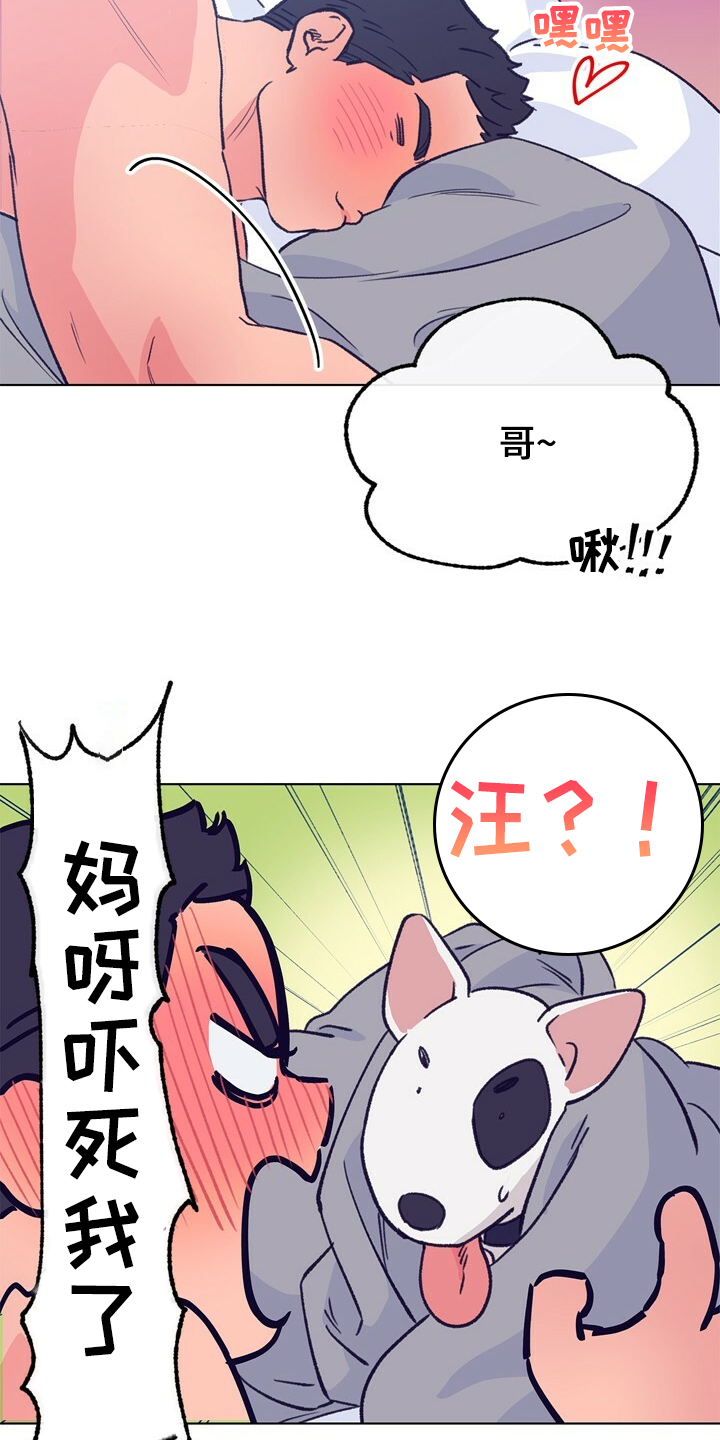 乡野旋律漫画,第127章：【第二季】硕大的东植4图