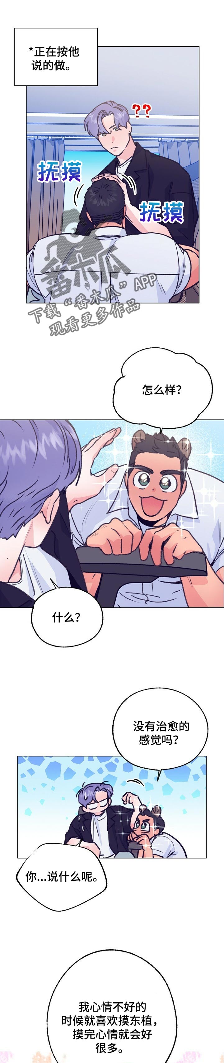 乡野旋律漫画,第95章：摸摸头2图