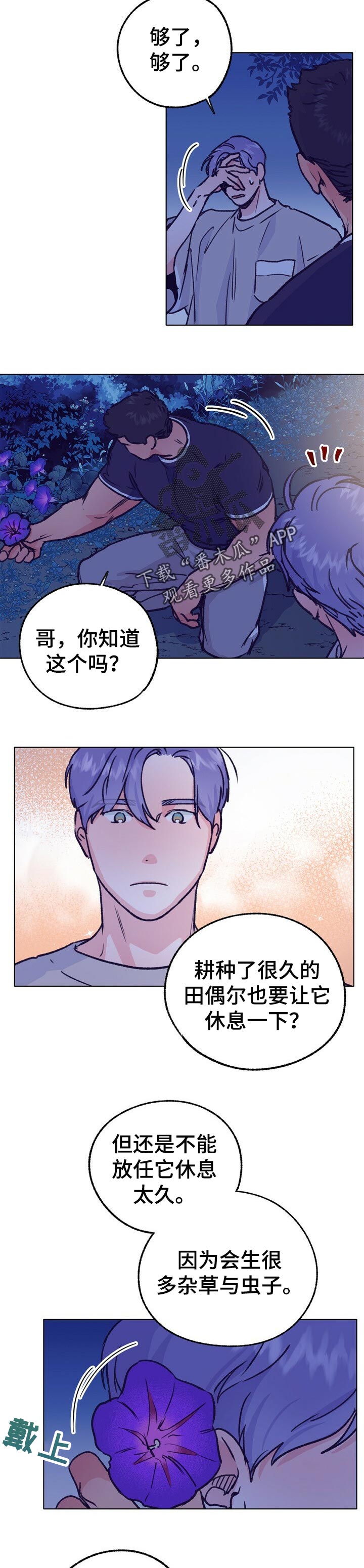 乡野旋律漫画,第78章：最好的田3图