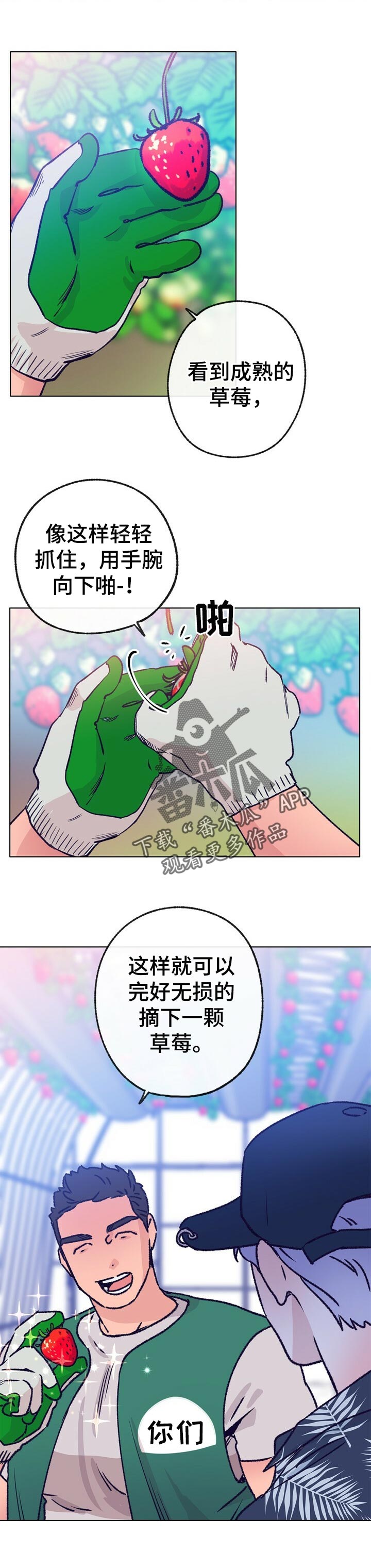 乡野旋律漫画,第64章：摘草莓5图