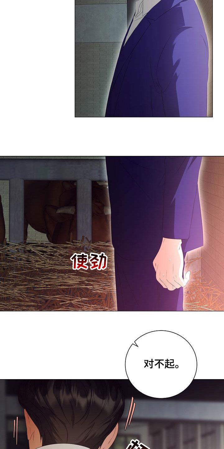 完美契合漫画,第60章：道歉3图