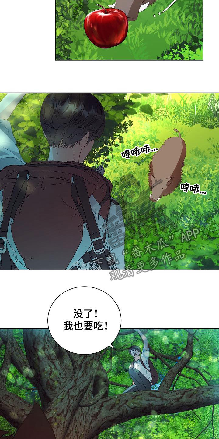 完美契合漫画,第49章：野猪1图