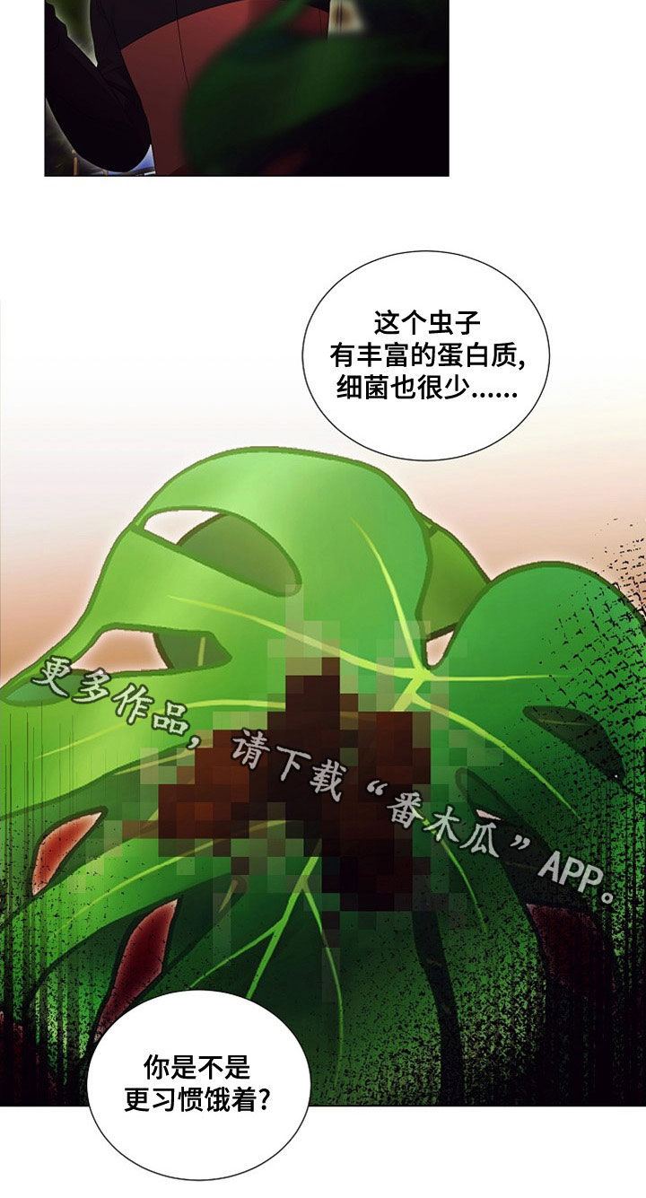 完美契合漫画,第85章：虫子4图