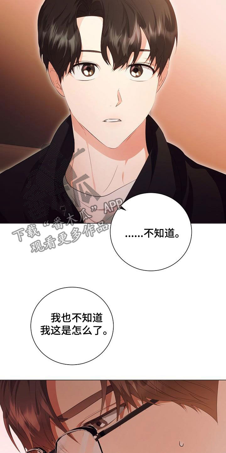 完美契合漫画,第65章：似曾相识3图