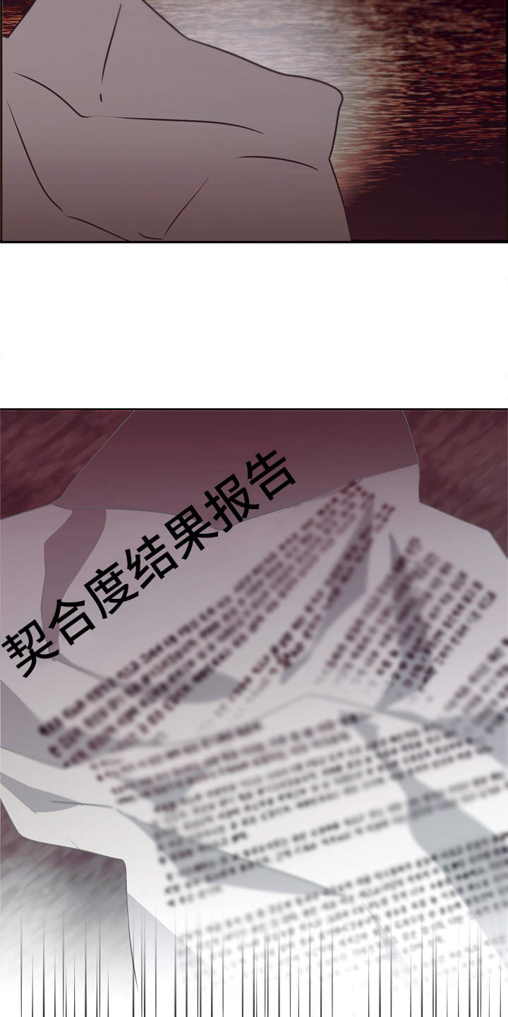 完美契合漫画,第1章：冒险类型1图