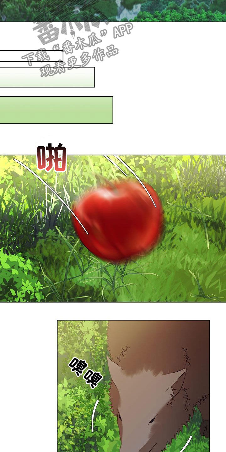 完美契合漫画,第49章：野猪5图