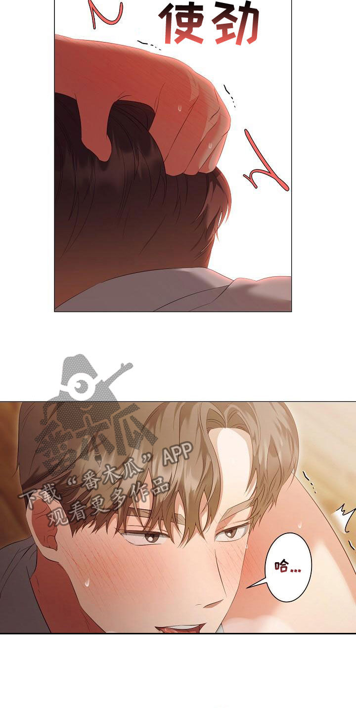 完美契合漫画,第75章：只要你愿意3图