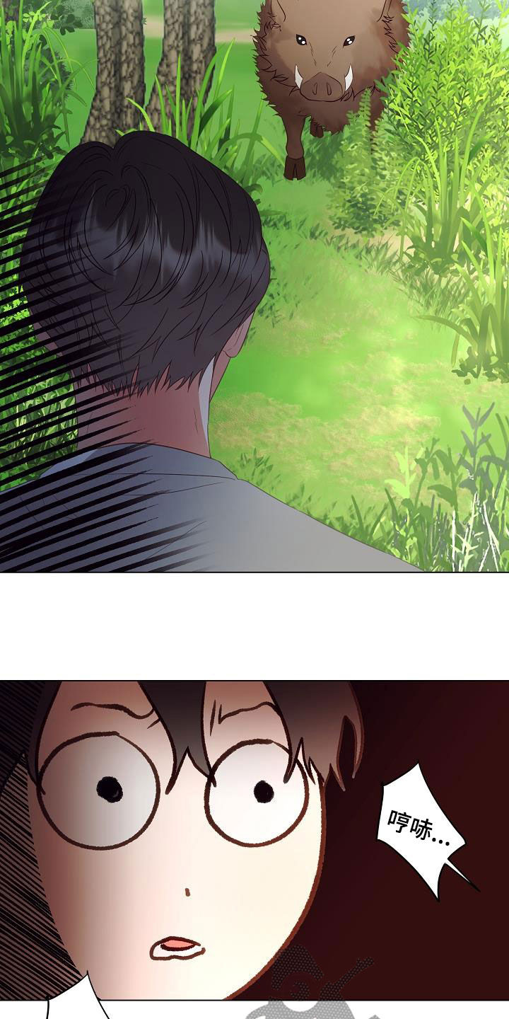 完美契合漫画,第49章：野猪2图