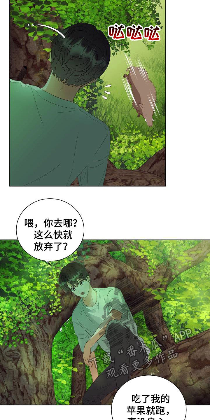 完美契合漫画,第49章：野猪2图