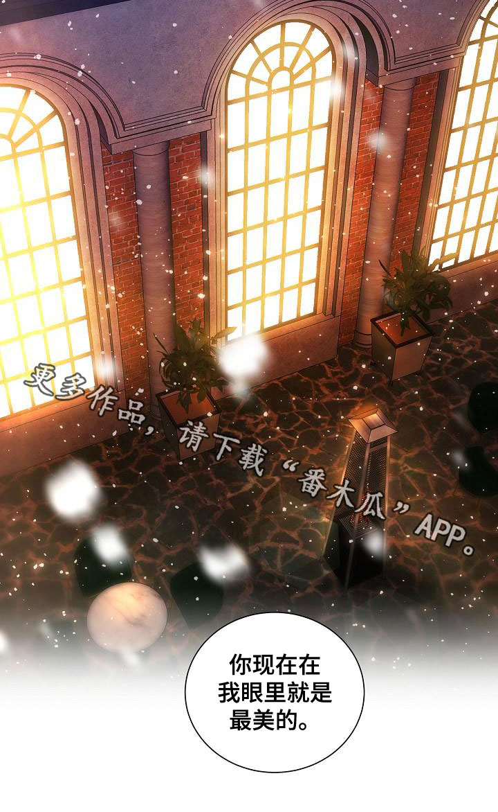完美契合漫画,第80章：求婚3图