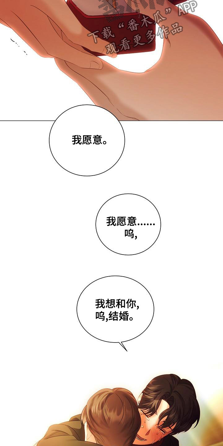 完美契合漫画,第80章：求婚5图