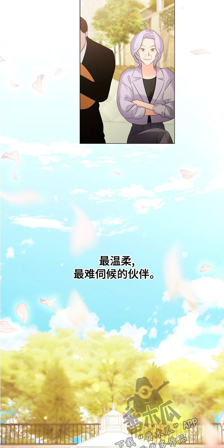 完美契合漫画,第82章：婚礼4图