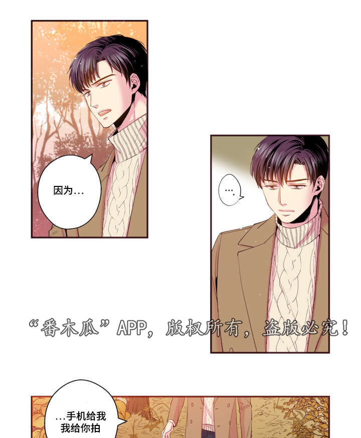 闻声漫画,第47章：喜欢的人3图