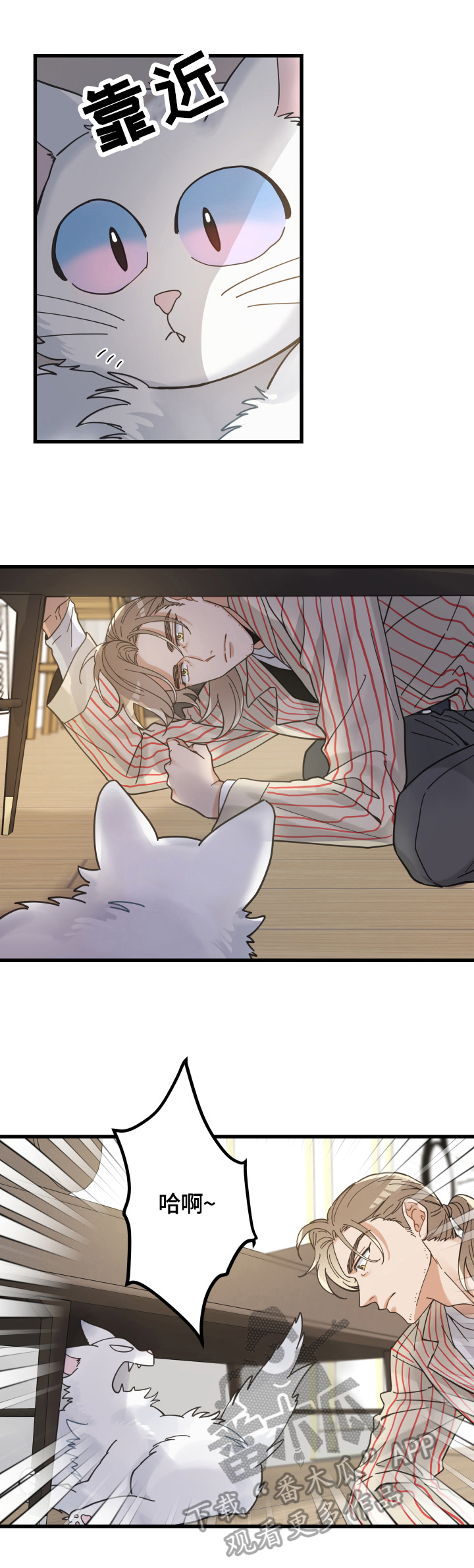 亲爱的喵君漫画,第60章：悲剧3图