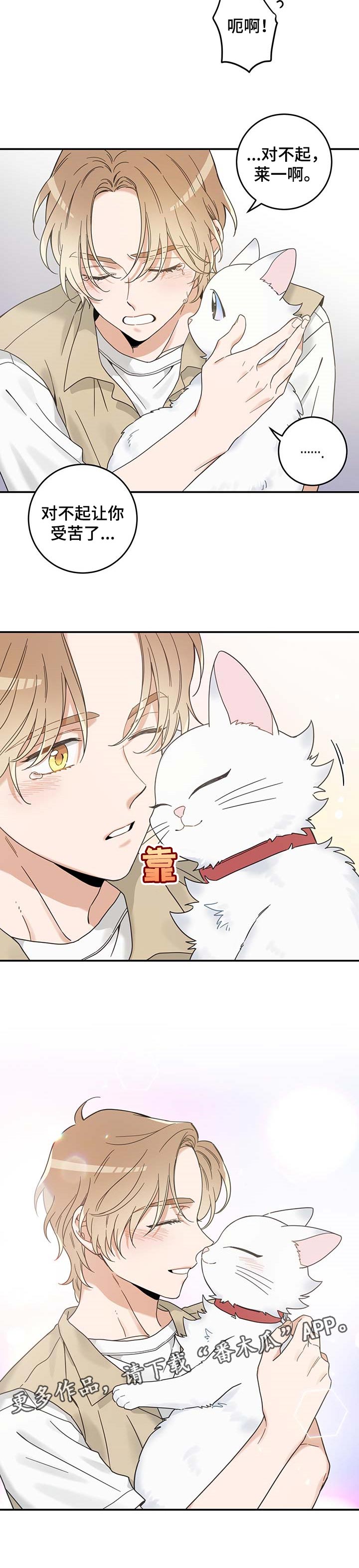 亲爱的喵君漫画,第111章：重逢1图