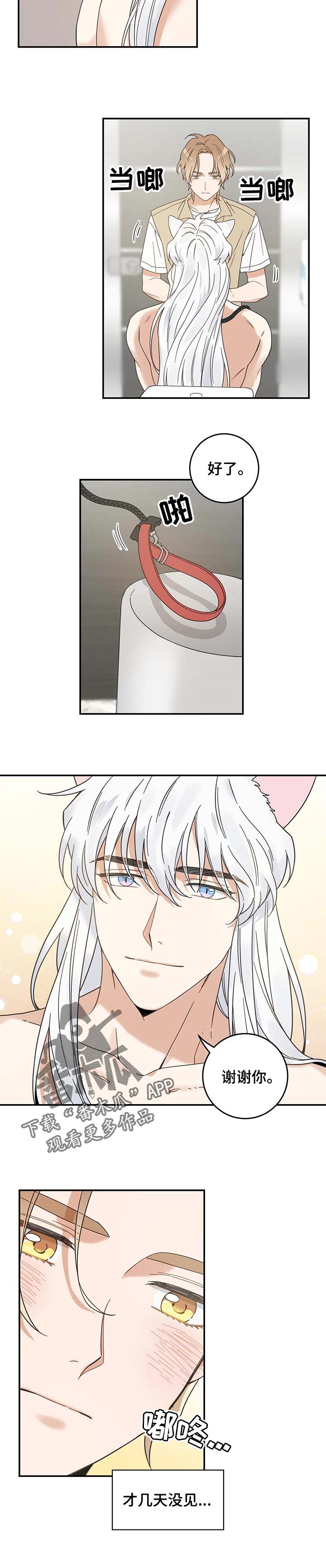 亲爱的喵君漫画,第112章：不要再乱跑了3图