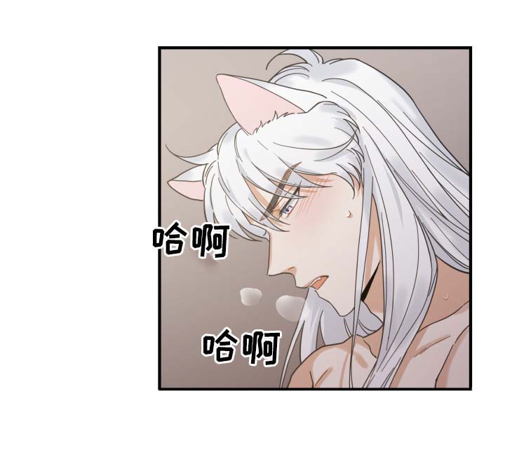 亲爱的喵君漫画,第50章：肌肤相亲1图