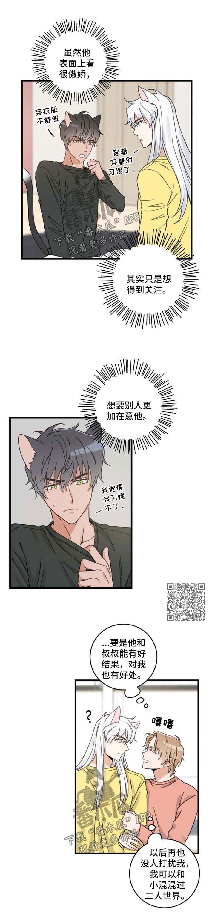 亲爱的喵君漫画,第86章：不同的喜欢4图