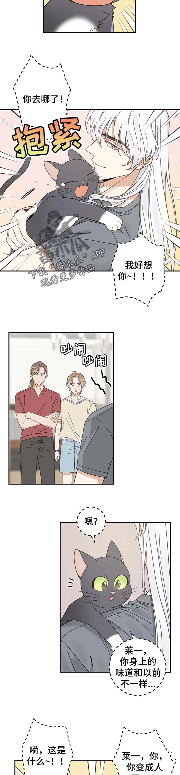 亲爱的喵君漫画,第116章：静待观察4图