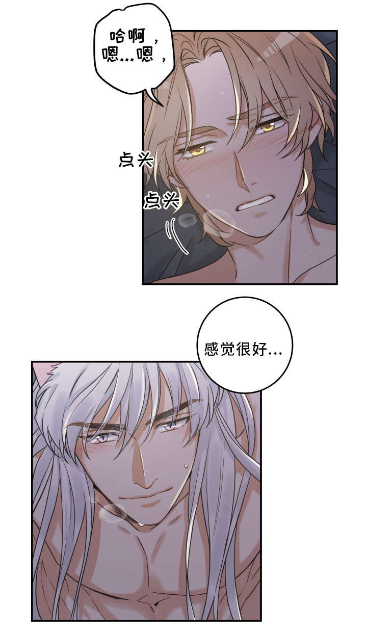 亲爱的喵君漫画,第20章：感觉好吗2图