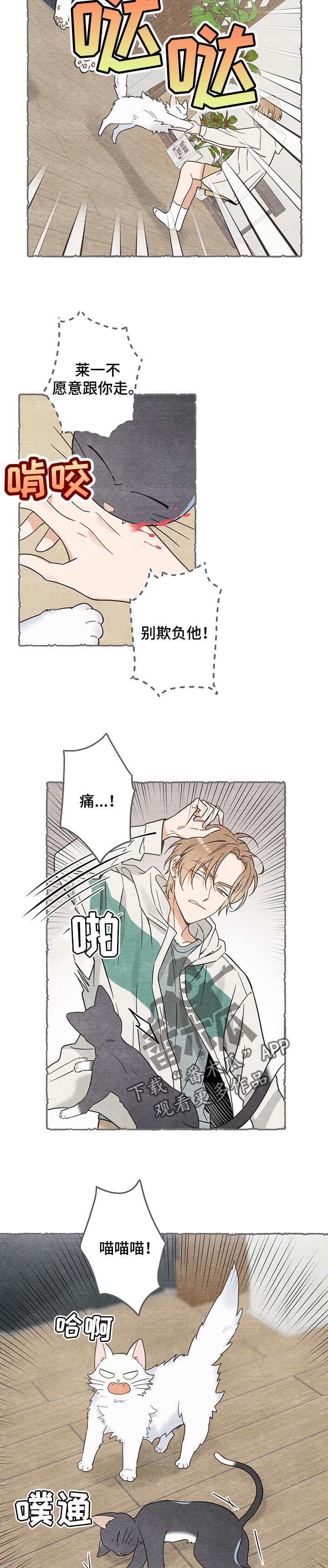 亲爱的喵君漫画,第102章：撒气2图