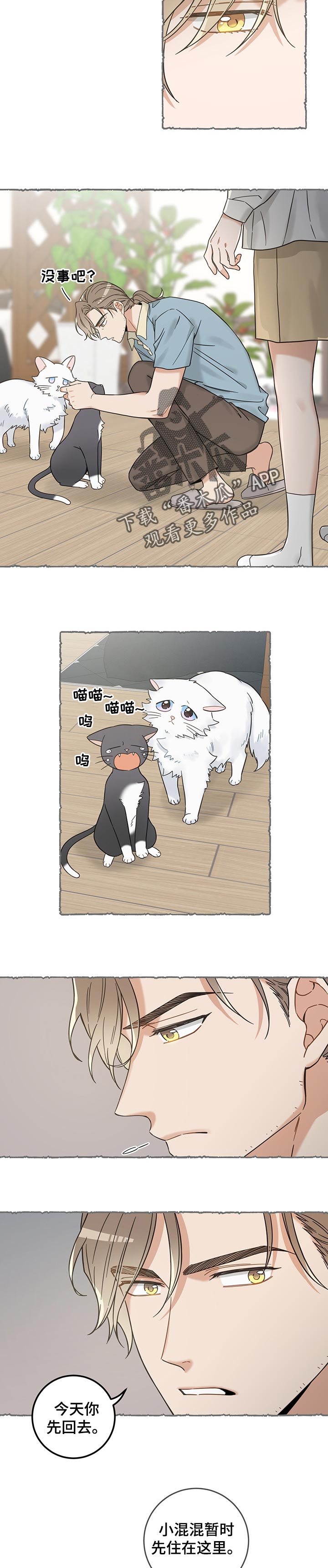 亲爱的喵君漫画,第102章：撒气4图