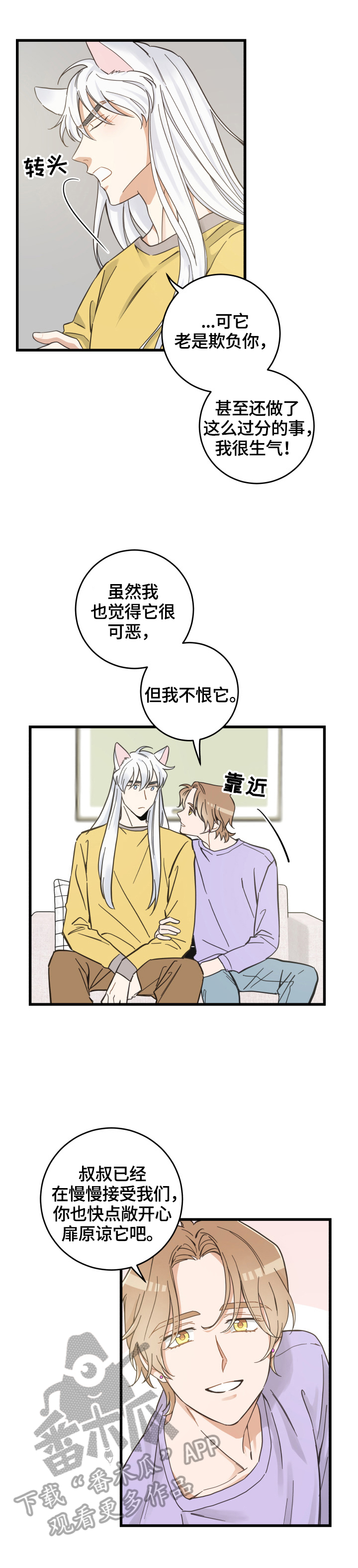 亲爱的喵君漫画,第71章：原谅4图