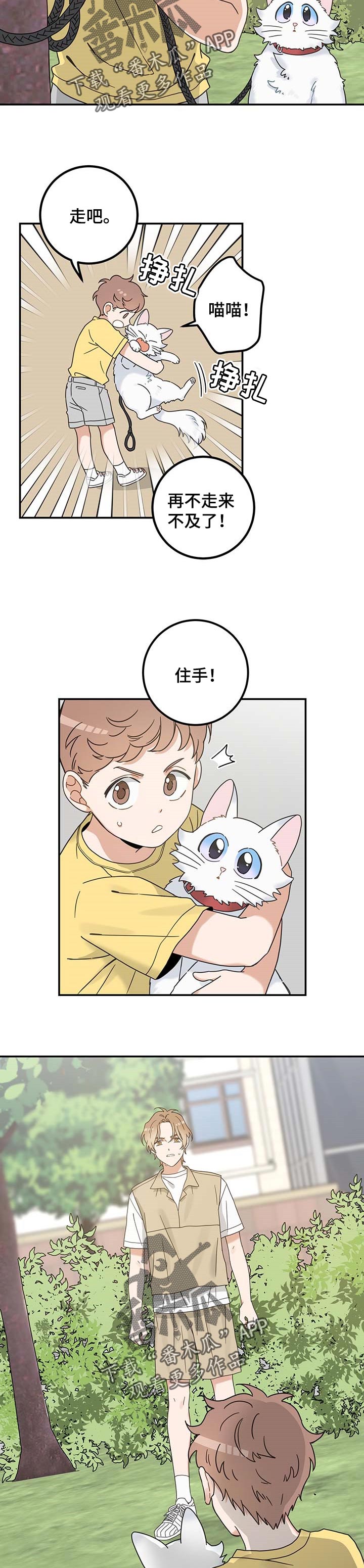 亲爱的喵君漫画,第110章：找到了2图