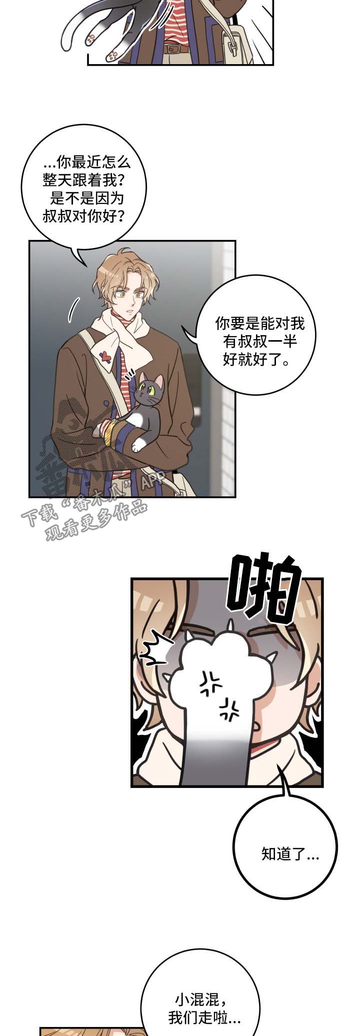 亲爱的喵君漫画,第46章：不能一起2图