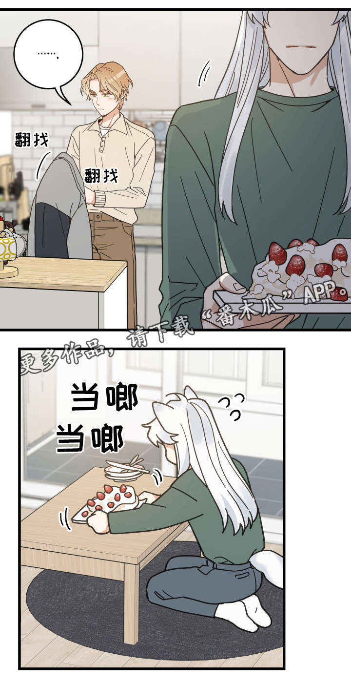 亲爱的喵君漫画,第28章：蛋糕1图