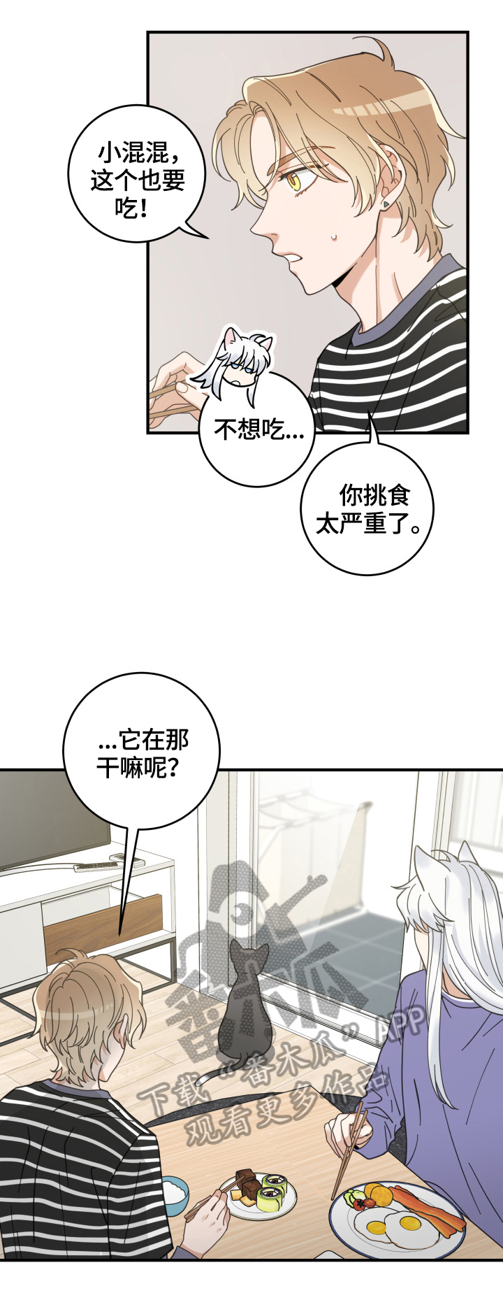 亲爱的喵君漫画,第55章：新邻居2图
