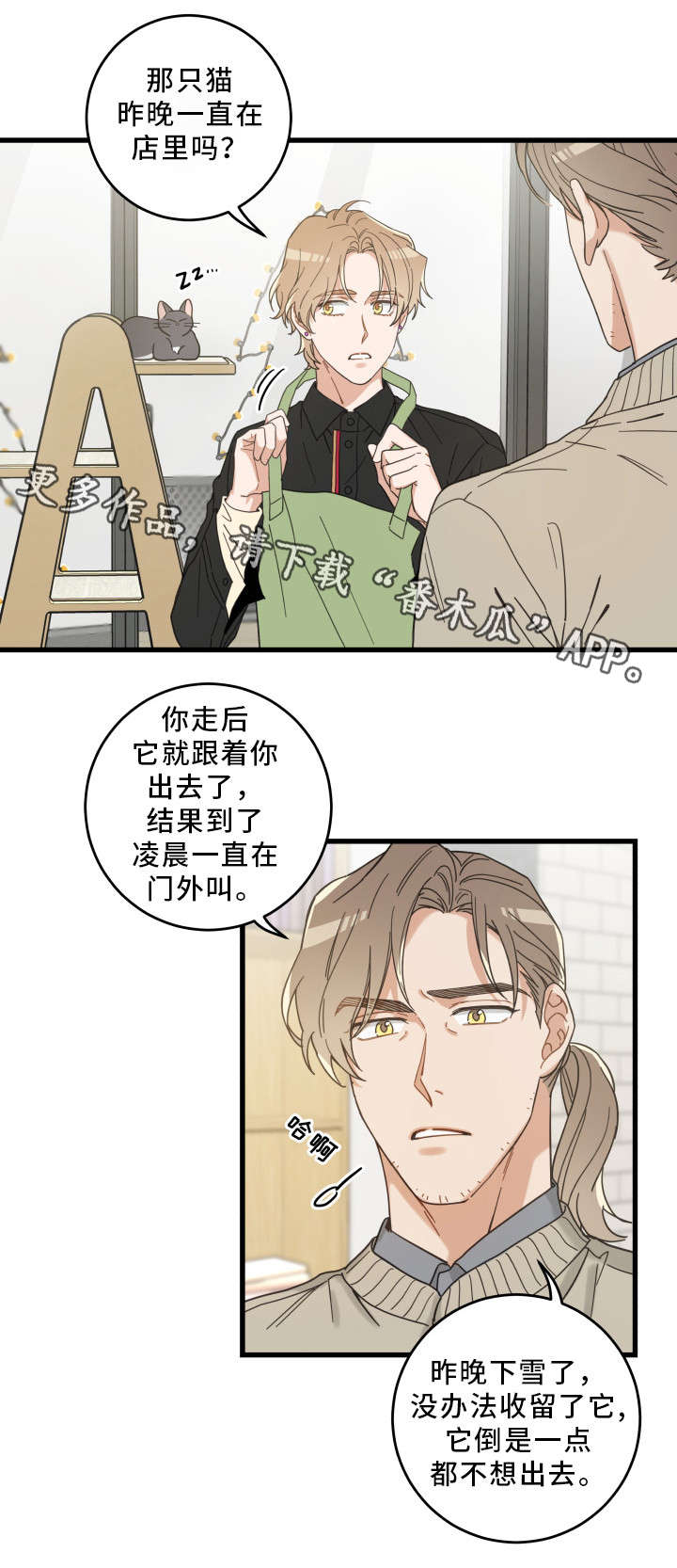 亲爱的喵君漫画,第35章：盯5图