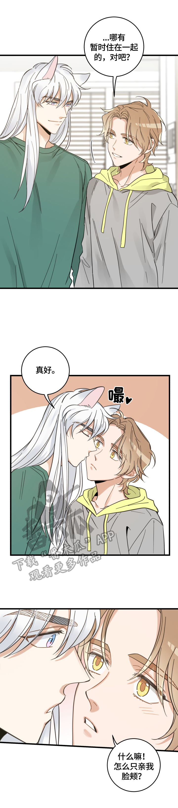 亲爱的喵君漫画,第67章：同意3图