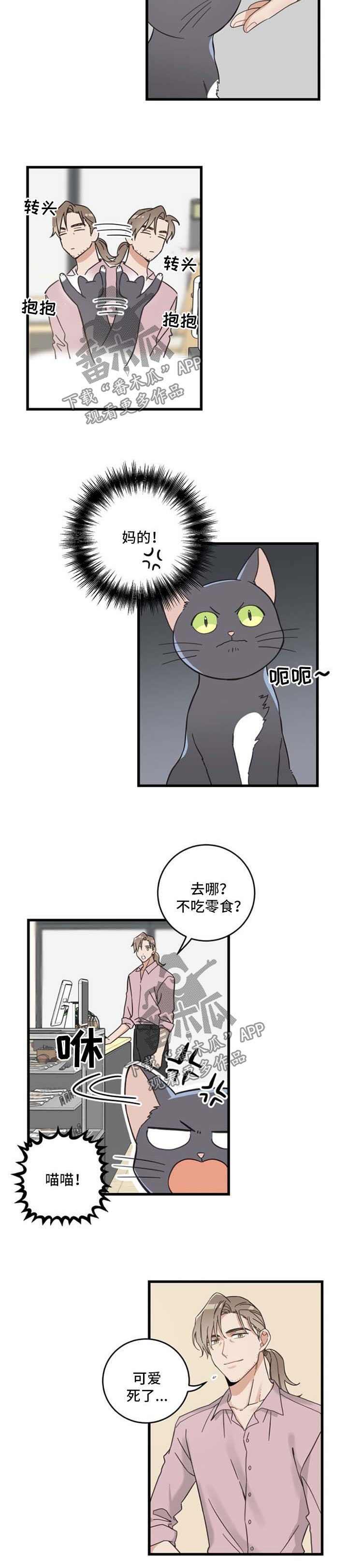 亲爱的喵君漫画,第95章：不行3图