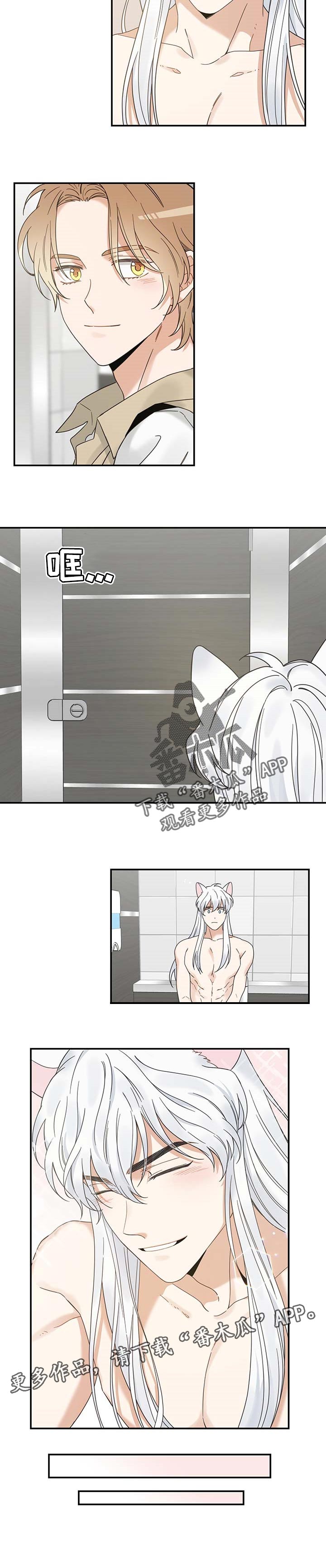 亲爱的喵君漫画,第112章：不要再乱跑了2图